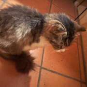 ヒメ日記 2025/06/02 22:30 投稿 春菜/はるな 五反田アネージュ（ユメオト）