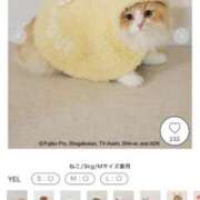 ヒメ日記 2026/02/06 21:05 投稿 みさき 大人の色気全開！ ウエスト・コム