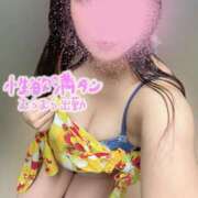 ヒメ日記 2025/12/09 08:18 投稿 こころ スイカ