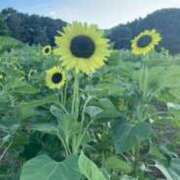 ヒメ日記 2025/08/11 21:03 投稿 清音　すず OL精薬