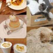 ヒメ日記 2025/06/06 23:01 投稿 加賀美　はやて ノーパンパンスト スケベなOL梅田・兎我野店