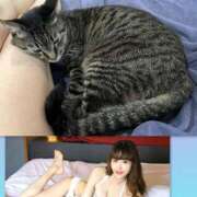 ヒメ日記 2025/10/21 11:04 投稿 愛原りおな プレジデントハウス