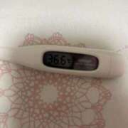 ヒメ日記 2025/06/01 15:54 投稿 浜辺　さいり つくば風俗エキスプレス   ヌキ坂46