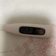 ヒメ日記 2025/06/03 15:09 投稿 浜辺　さいり つくば風俗エキスプレス   ヌキ坂46