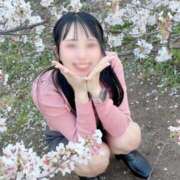 ヒメ日記 2025/06/04 11:37 投稿 すみれ ロイヤル土佐