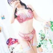 ヒメ日記 2025/11/15 13:30 投稿 すみれ ロイヤル土佐