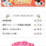 ヒメ日記 2026/02/23 17:22 投稿 すみれ ロイヤル土佐