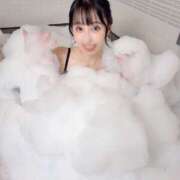 ヒメ日記 2026/02/24 12:46 投稿 すみれ ロイヤル土佐