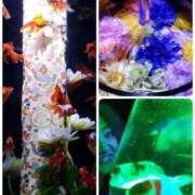 ヒメ日記 2025/08/12 18:16 投稿 いろ 逢って30秒で即尺