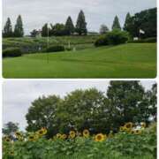 ヒメ日記 2025/08/13 14:08 投稿 いろ 逢って30秒で即尺