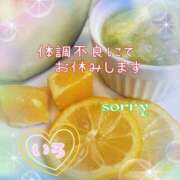 ヒメ日記 2025/09/05 09:18 投稿 いろ 逢って30秒で即尺