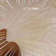 ヒメ日記 2025/10/18 18:30 投稿 いろ 逢って30秒で即尺