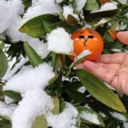 ヒメ日記 2026/01/12 08:32 投稿 いろ 逢って30秒で即尺