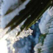 ヒメ日記 2026/01/23 08:32 投稿 いろ 逢って30秒で即尺