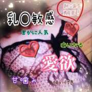 ヒメ日記 2026/01/25 07:53 投稿 いろ 逢って30秒で即尺