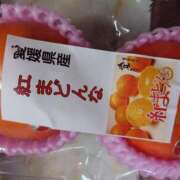 ヒメ日記 2026/01/26 22:20 投稿 いろ 逢って30秒で即尺