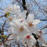 ヒメ日記 2026/03/28 12:24 投稿 いろ 逢って30秒で即尺