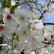 ヒメ日記 2026/04/03 10:14 投稿 いろ 逢って30秒で即尺