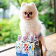 ヒメ日記 2025/06/09 07:32 投稿 Towa THE RICH