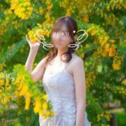 ヒメ日記 2025/07/08 20:24 投稿 Towa THE RICH