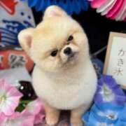 ヒメ日記 2025/07/24 23:14 投稿 Towa THE RICH