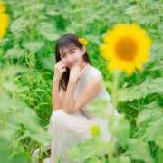 ヒメ日記 2025/08/15 16:32 投稿 Towa THE RICH