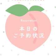 ヒメ日記 2026/05/15 07:31 投稿 Towa THE RICH