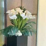 ヒメ日記 2025/07/15 18:37 投稿 五十嵐(いがらし) 人妻出逢い会 百合の園 山の手本店