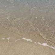 ヒメ日記 2025/09/01 08:07 投稿 五十嵐(いがらし) 人妻出逢い会 百合の園 山の手本店