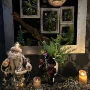 ヒメ日記 2025/12/09 11:09 投稿 五十嵐(いがらし) 人妻出逢い会 百合の園 山の手本店