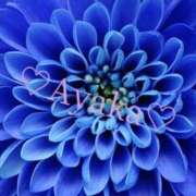 ヒメ日記 2025/06/25 00:42 投稿 あやか 人妻洗体倶楽部