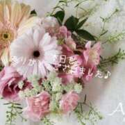 ヒメ日記 2025/07/23 00:54 投稿 あやか 人妻洗体倶楽部