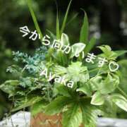 ヒメ日記 2025/08/04 16:54 投稿 あやか 人妻洗体倶楽部