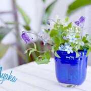 ヒメ日記 2025/08/05 00:42 投稿 あやか 人妻洗体倶楽部