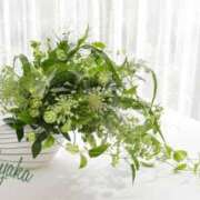 ヒメ日記 2025/08/08 01:21 投稿 あやか 人妻洗体倶楽部