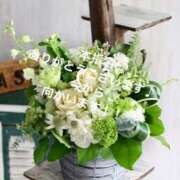 ヒメ日記 2025/08/20 21:21 投稿 あやか 人妻洗体倶楽部