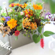 ヒメ日記 2025/10/11 01:24 投稿 あやか 人妻洗体倶楽部