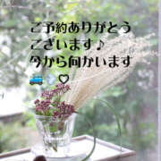 ヒメ日記 2025/10/13 15:42 投稿 あやか 人妻洗体倶楽部