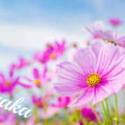 ヒメ日記 2025/10/18 02:48 投稿 あやか 人妻洗体倶楽部