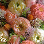 ヒメ日記 2025/10/19 02:27 投稿 あやか 人妻洗体倶楽部