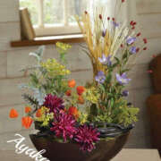 ヒメ日記 2025/10/25 01:33 投稿 あやか 人妻洗体倶楽部