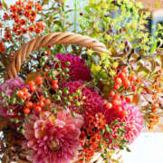 ヒメ日記 2025/11/09 01:33 投稿 あやか 人妻洗体倶楽部