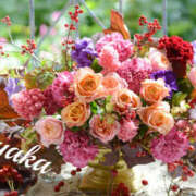 ヒメ日記 2025/11/11 01:42 投稿 あやか 人妻洗体倶楽部