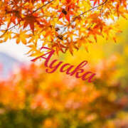 ヒメ日記 2025/11/22 02:18 投稿 あやか 人妻洗体倶楽部