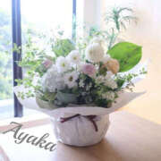 ヒメ日記 2025/12/28 01:03 投稿 あやか 人妻洗体倶楽部