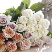 ヒメ日記 2026/01/07 01:33 投稿 あやか 人妻洗体倶楽部