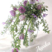 ヒメ日記 2026/01/14 02:06 投稿 あやか 人妻洗体倶楽部