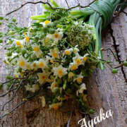 ヒメ日記 2026/02/10 01:27 投稿 あやか 人妻洗体倶楽部