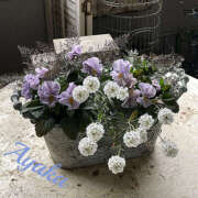 ヒメ日記 2026/02/12 00:03 投稿 あやか 人妻洗体倶楽部