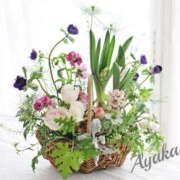 ヒメ日記 2026/03/10 01:48 投稿 あやか 人妻洗体倶楽部